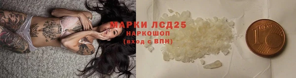 индика Семёнов