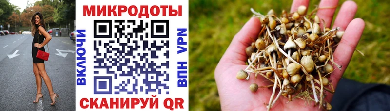 hydra ONION  Белоярский  Псилоцибиновые грибы ЛСД 